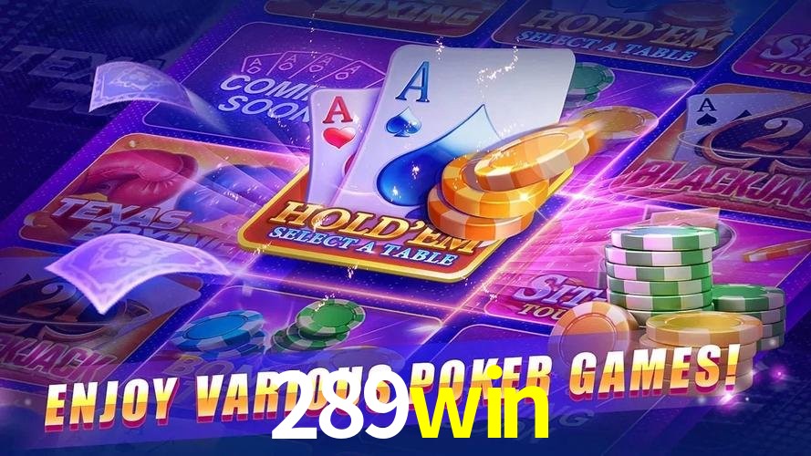 Programa VIP 289win