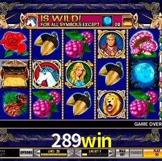 Descubra o Mundo do Cassino Online com 289win