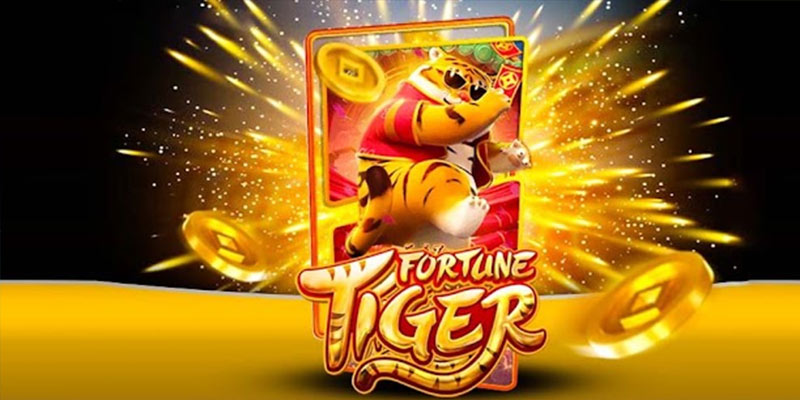 Quem é o Fortune Tiger 289win.Com